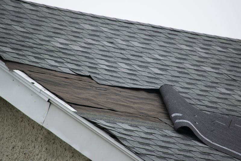 Shingle Repair Process